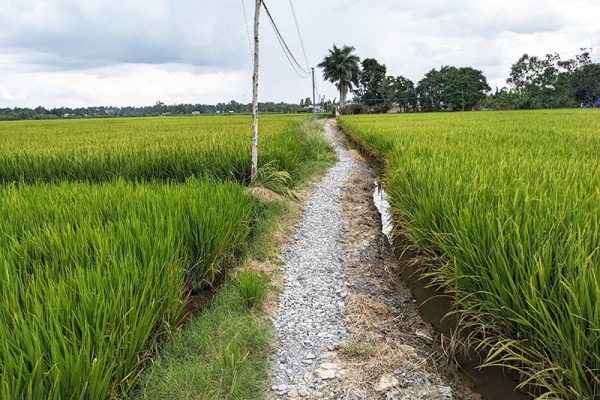 God’s Unexpected Path: